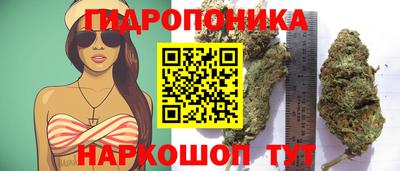 jwh Гусь-Хрустальный