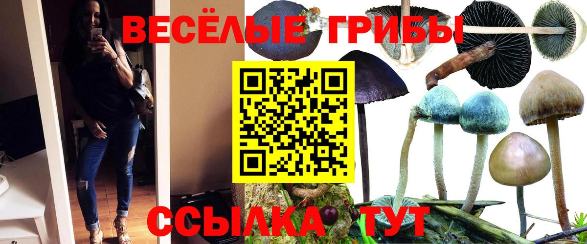 Галлюциногенные грибы Cubensis  Галлюциногенные грибы Magic Shrooms  Можайск  Вход с VPN 